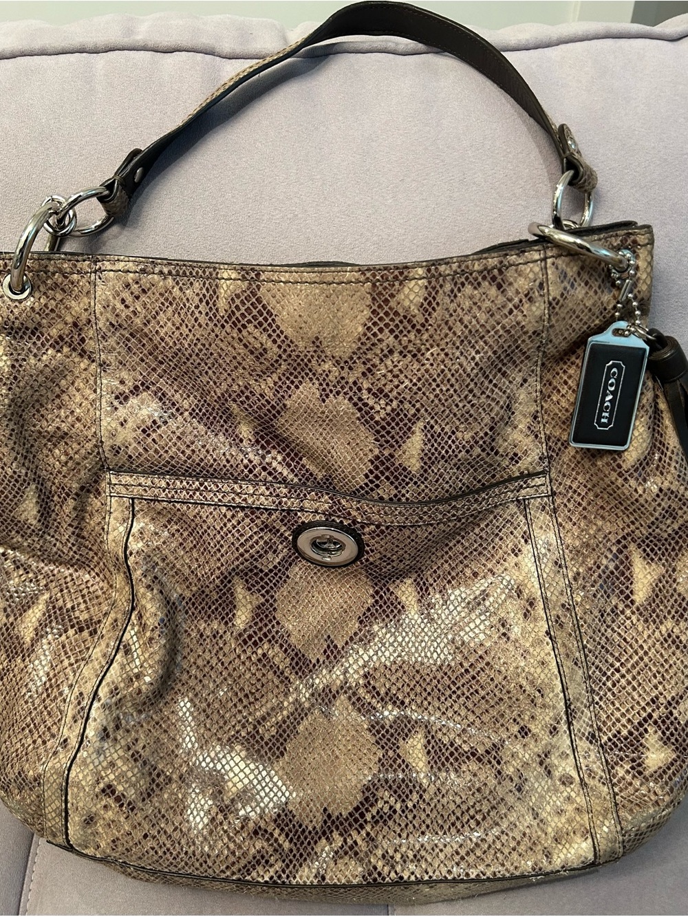 Coach Snakeskin Print Hobo Bag in Gold, Tan and Brown